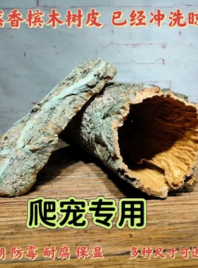 天然香槟木树皮蜘蛛蜥蜴守宫蝎子蛇爬宠躲避洞雨淋缸水族鱼缸造景