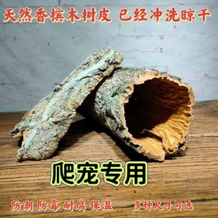 天然香槟木树皮蜘蛛蜥蜴守宫蝎子蛇爬宠躲避洞雨淋缸水族鱼缸造景