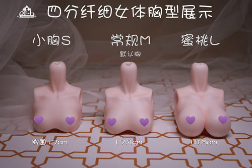 DF-H1/4四分纤细胸部替换