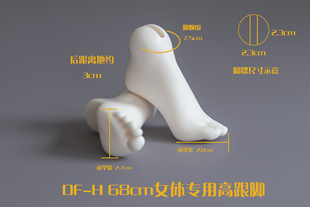 DF-H 68女  平跟脚 芭蕾脚 高跟脚 高跟腿 纤肌体/纤巧体专用