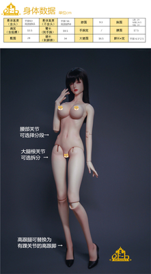 新大女身体1/3dollfamily-h