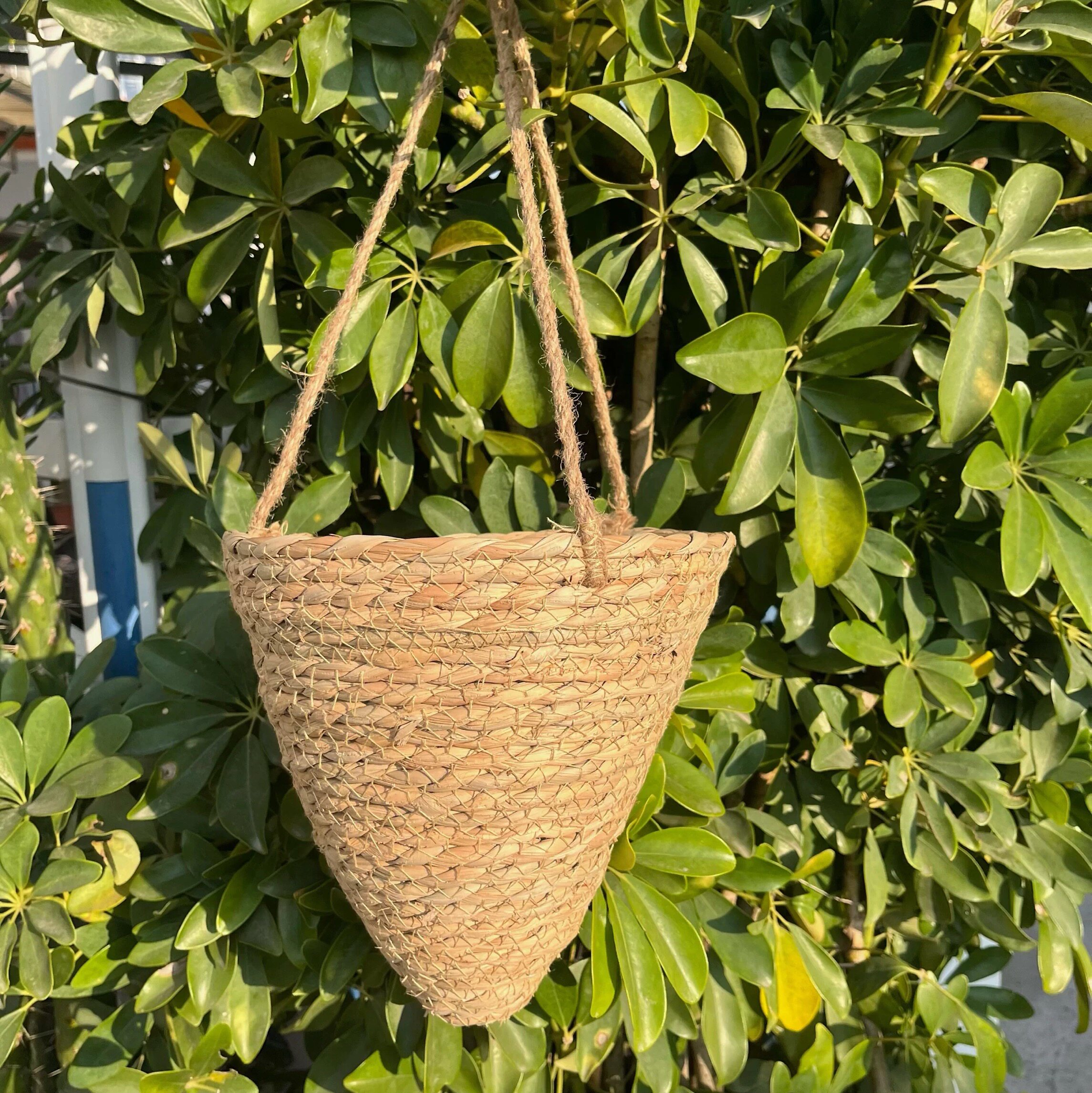 新款锥形草编壁挂花篮田园风尖底吊篮墙面绿植悬挂花盆装饰花器