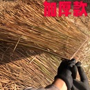 天然茅草瓦 饰1米乘1米基础材料茅草凉亭 野生茅草瓦屋顶真茅草装