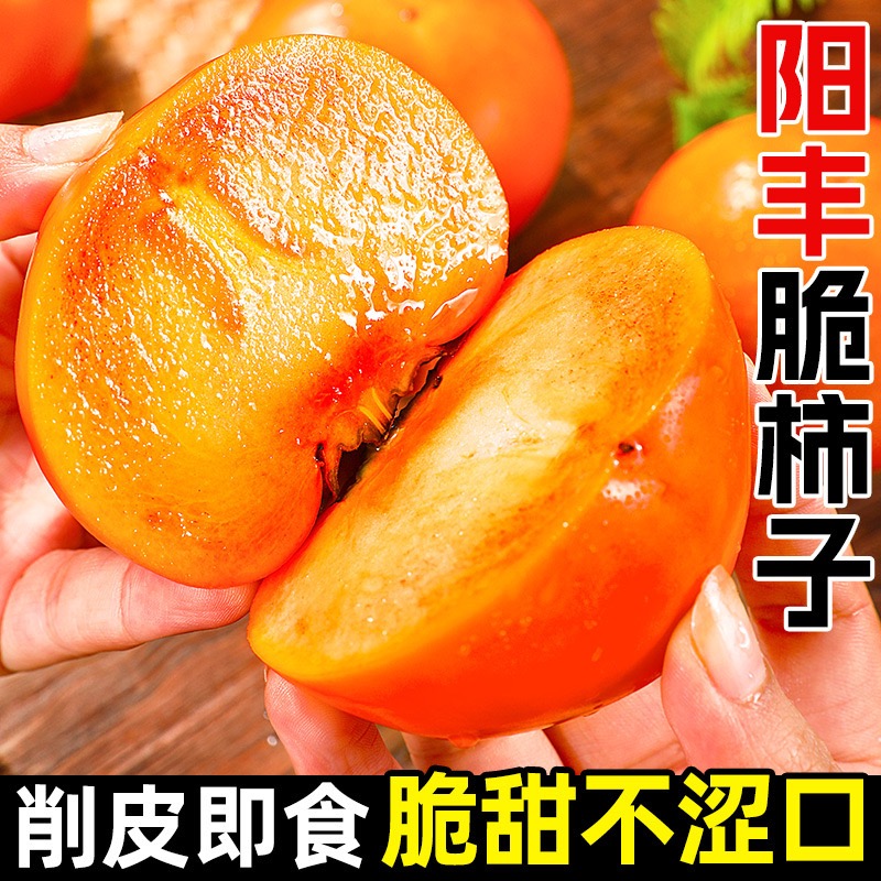 新品特大果正宗阳丰脆柿子新鲜水果9斤批发包邮3甜脆硬柿山西陕西