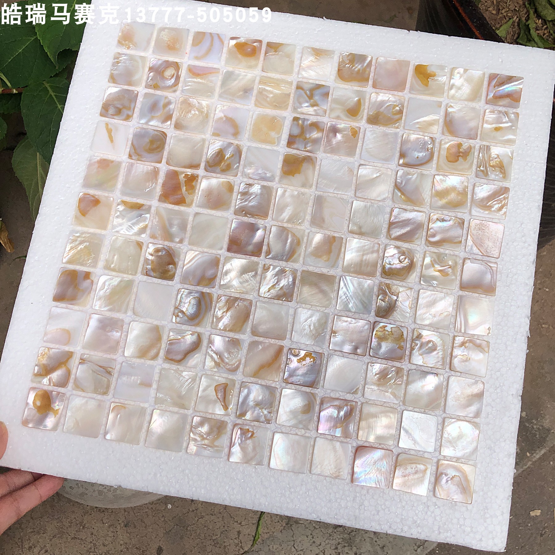 缝拼贝壳马赛克贴片油花自然色贝母背景墙厨房卫生间瓷砖墙贴鱼池