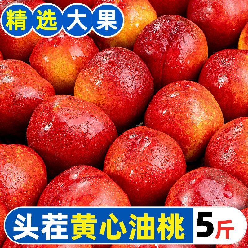【爆甜】油桃新鲜当季水果头茬桃子大果整箱批发大桃子黄心大油桃