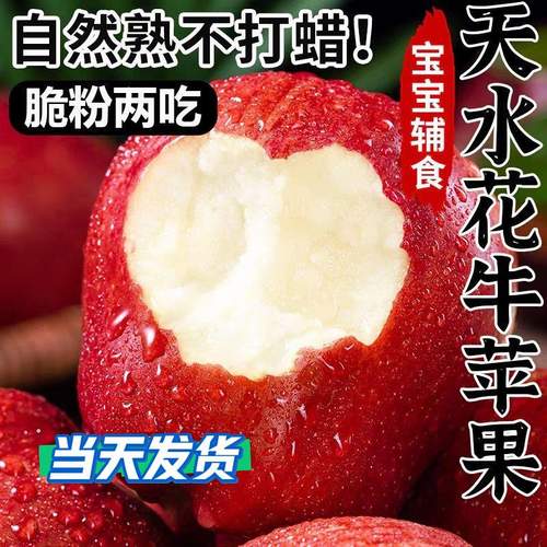 顺丰快递甘肃天水花牛苹果新鲜水果老人宝宝辅食刮泥苹果