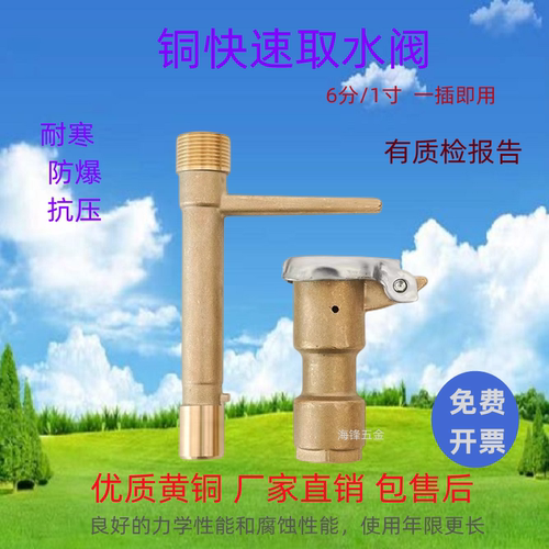 1寸园林绿化草坪铜钥匙杆DN25