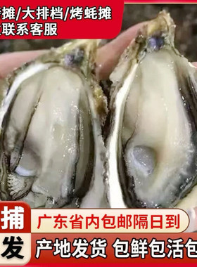 新鲜活生蚝牡蛎带壳半壳商用家用