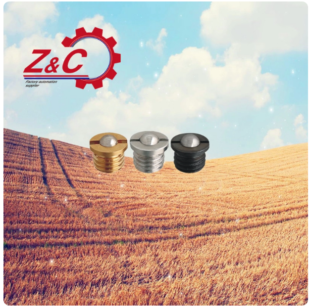 C-FBPJ5-P20/C-FBPJS5/6/8/10/12/14/16带法兰型球头柱塞