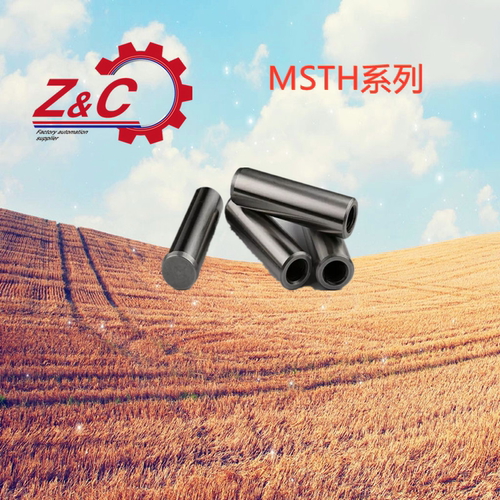 MSTH5/6/8-10/15/20/25/30/35/40/50内螺纹圆柱销 负公差定位销