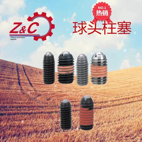 QPU/QPL/QPH/QPE-M3/M4/M5/M6/M8/M10/12球头柱塞QPUN/QPLN/QPHN4