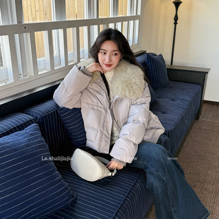 LS 休闲通勤白鸭绒短款羽绒服 广州十三行2025秋冬新品女装Y9918#