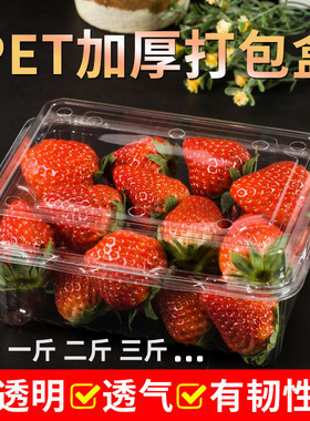 加厚一次性透明水果打包盒一斤装草莓盒塑料盒500克保鲜盒樱桃盒