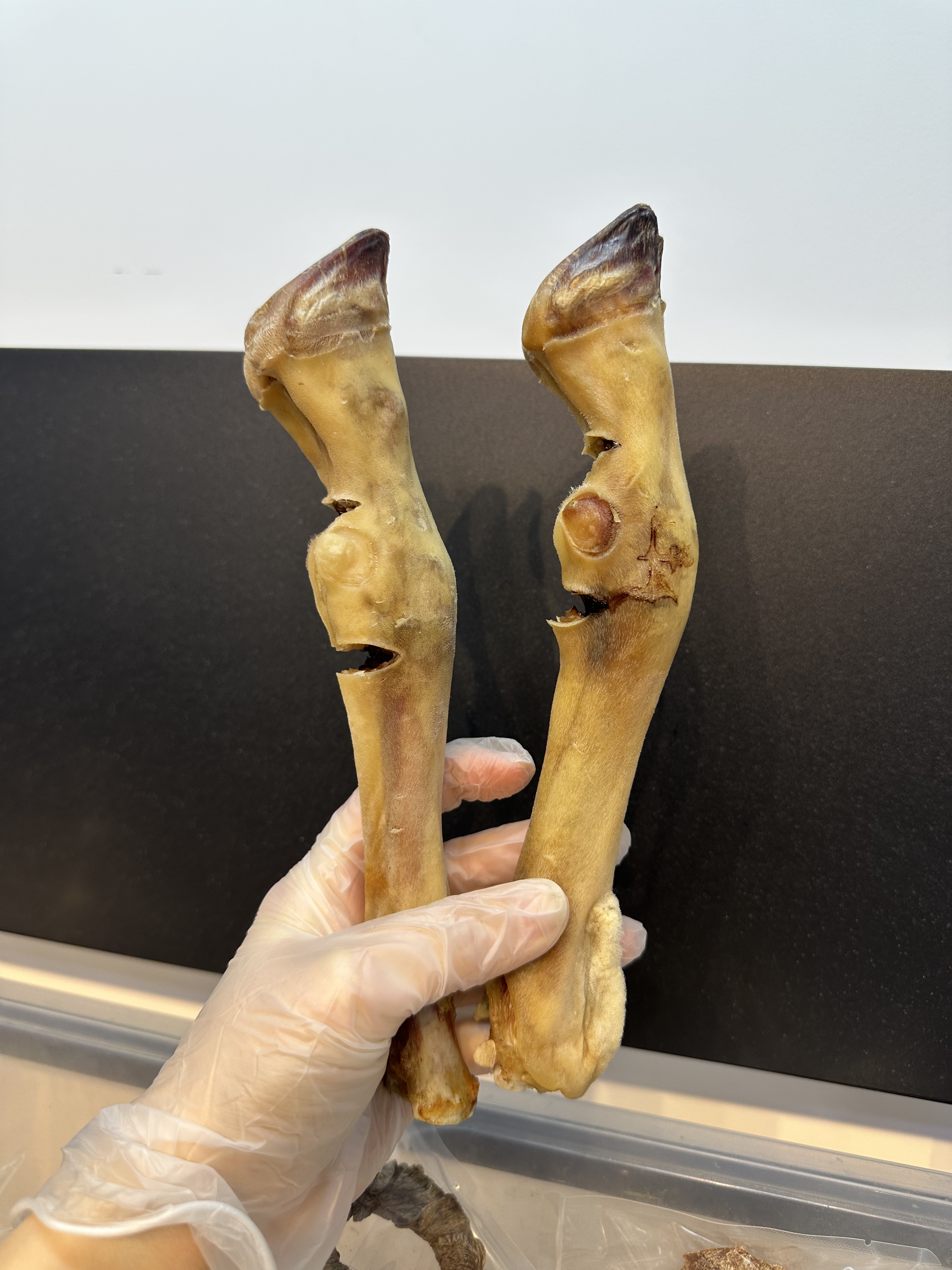【吖咪家】无添加自制狗狗零食磨牙羊蹄子磨牙骨头补钙洁齿成幼犬