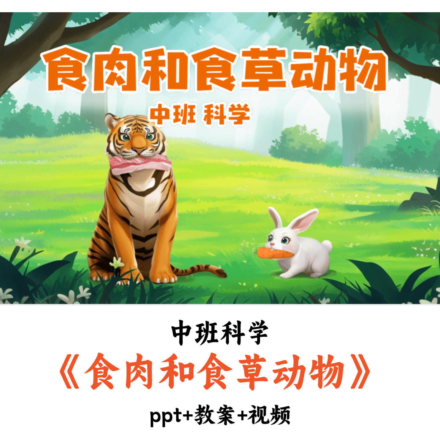 幼儿园中班科学 《食肉和食草动物》 PPT教案视频优质公开课