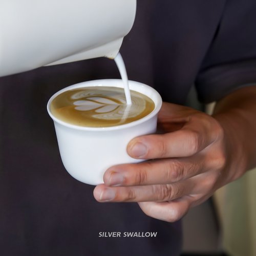 银时燕combo咖啡杯咖啡馆出品杯