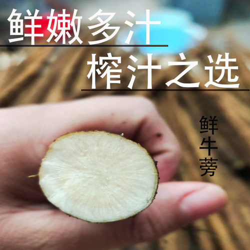精选新鲜牛蒡安疗榨汁出汁率高