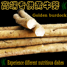 黄金牛蒡5斤高端出口品质现挖苍山安疗榨汁特级牛膀榜棒旁茶片根