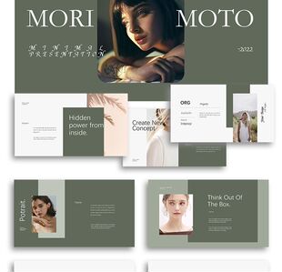 简约质感ppt模板通用ins风莫兰迪配色艺术时尚设计素材作品集推荐