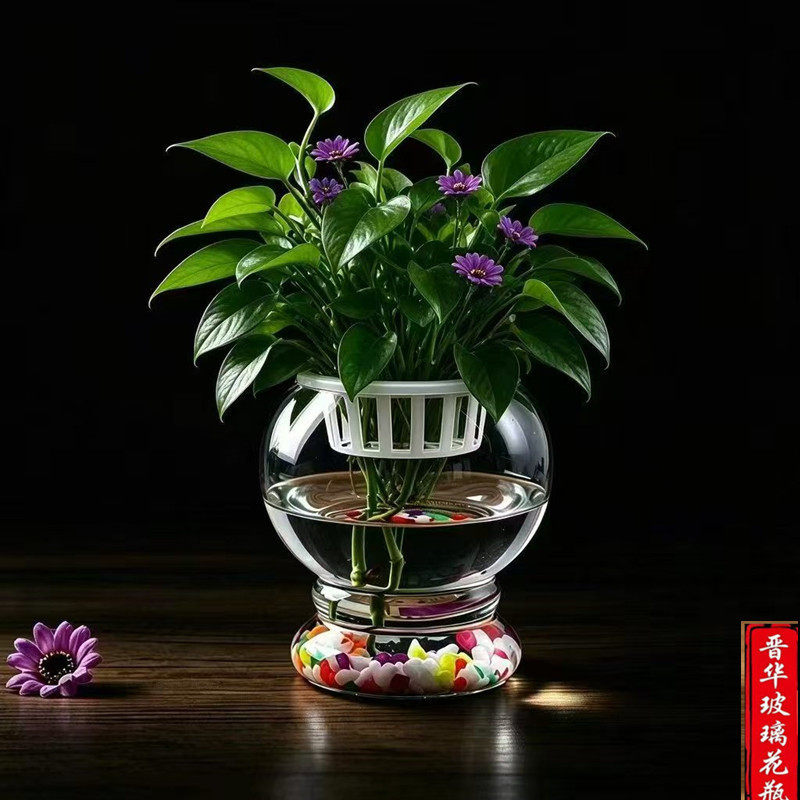 水培植物灯笼型玻璃花盆绿萝铜钱草大号玻璃花瓶花器圆球鱼缸容器