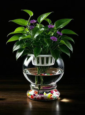 加厚玻璃花盆大口水培灯笼型花瓶