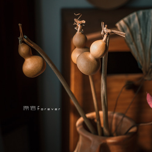 天然葫芦干花禅意中式