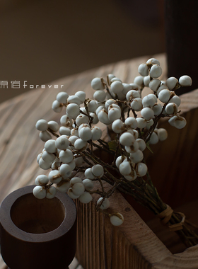 天然小白果干花diy手作花环搭配花材白色薏米果小清新装饰干树枝