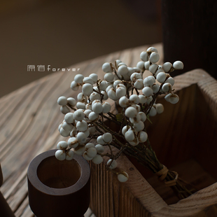 天然小白果干花diy手作花环搭配花材白色薏米果小清新装 饰干树枝