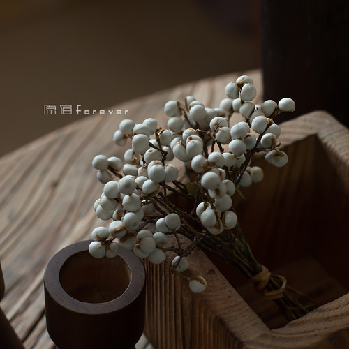 diy干树枝手作搭配白色薏米果小