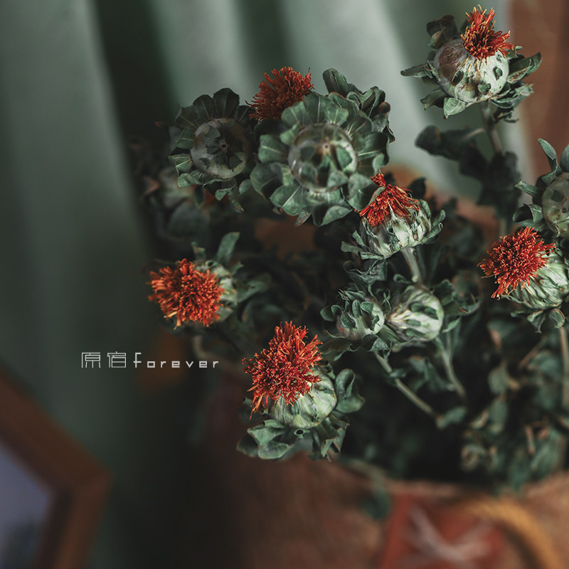 天然植物真花菠萝橙干花花束搭配干草复古民宿客厅装饰摆设红花果