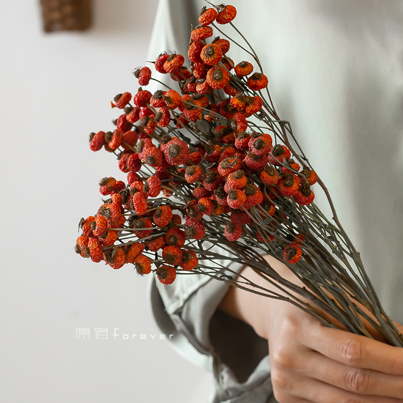 婚房摆件红色蔷薇果干花