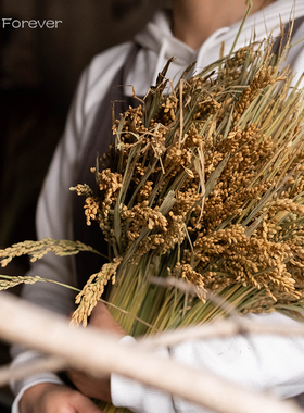 秋意乡村稻穗干花舞台婚庆民宿场景布置装饰开业插花束搭配干花材