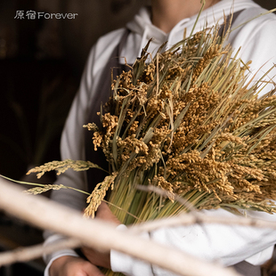 秋意乡村稻穗干花舞台婚庆民宿场景布置装饰开业插花束搭配干花材