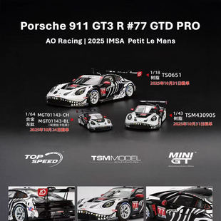 保时捷911 GT3R 骷髅雷克斯Rexy AO Racing 车模 minigt 64/43/18
