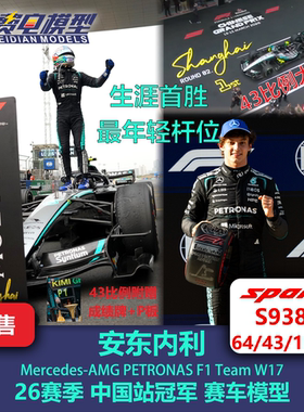 【赠P板】安东内利 梅奔W17 中国站首胜 F1 赛车模型 Spark S9381