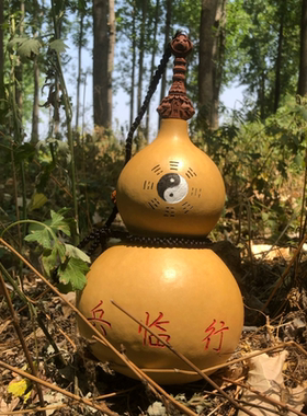 养剑葫芦大葫芦手工雕刻定制八卦九字真言手工桃木剑天然葫芦