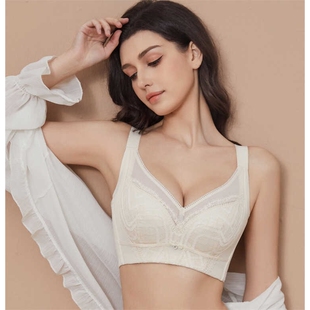 夏薄款 2024新款 收副乳上托聚拢防下垂文胸罩大胸显小全罩杯内衣女