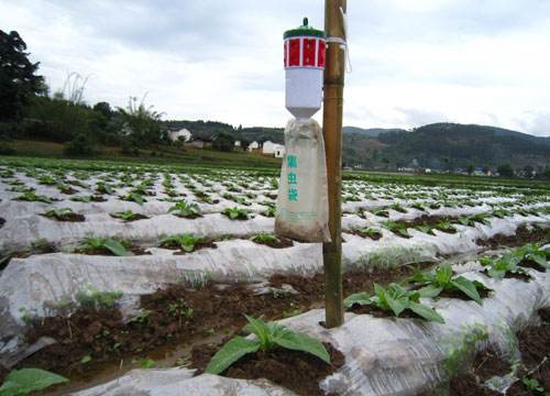 16孔昆虫信息素诱捕器