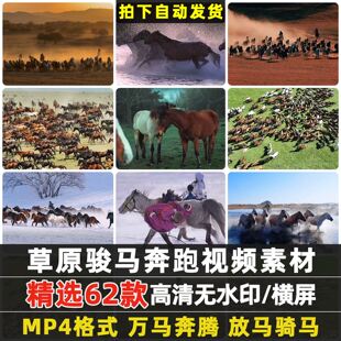 草原万马奔腾赛马场沙漠骑马匹放马奔跑骏马群自媒体剪辑视频素材