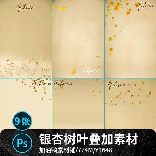 秋季银杏树叶飞舞飘落儿童宝宝相册写真照片psd叠加设计素材模板
