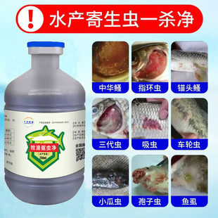 驱虫净鱼药鱼用水产专用体内外杀虫药虾蟹鱼塘杀虫药指环虫锚头鳋