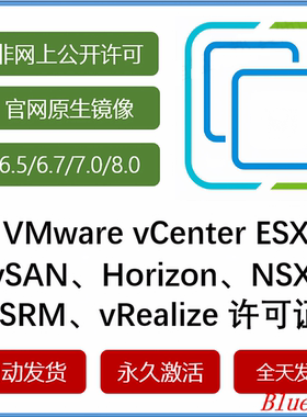 esxi 6 7.0 8.0 vcenter vsan horizon srm nsx 许可激活序列号