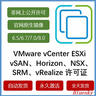 esxi 6 7.0 8.0 vcenter vsan horizon srm nsx 许可激活序列号
