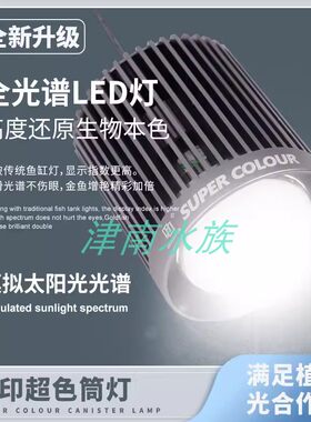 马印爆藻神灯包邮金鱼兰寿专用