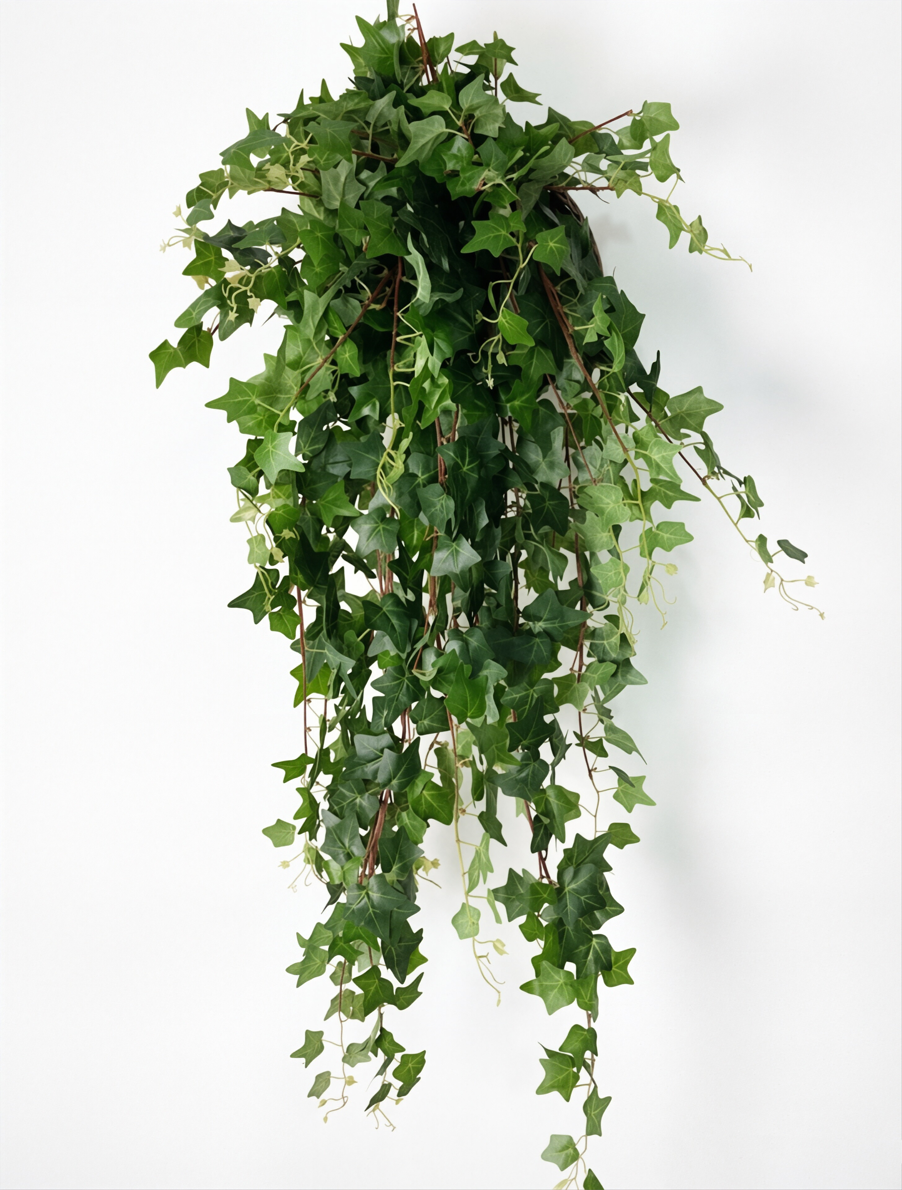 仿真绿植藤蔓葡萄藤条常春藤装饰藤蔓绿植式藤条植物墙装饰爬山虎