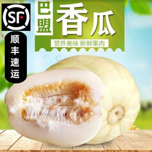 正宗巴盟香瓜5斤内蒙特产白莲脆甜瓜蜜瓜当季新鲜水果顺丰现发