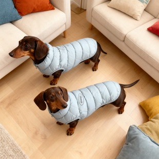 冬季 腊肠犬羽绒服约克夏专用马尔济斯小型狗狗秋棉袄泰迪比熊博美