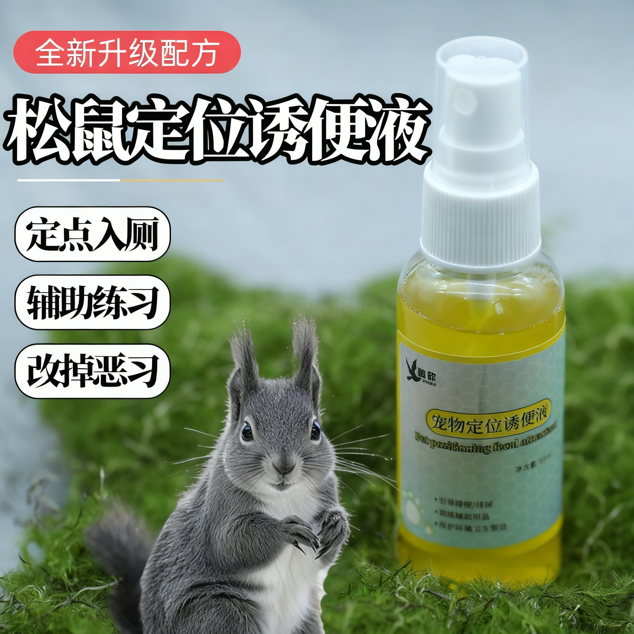 松鼠定点上厕所排便诱导剂专用撒尿诱尿专用定点排便防止喷雾,宠物/宠物食品及用品,除味剂,淘宝优惠券,粉丝福利购,淘宝优惠卷