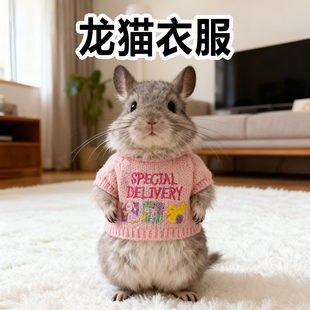 龙猫衣服专用冬天可爱保暖毛衣针织衣服小号服饰毛衣漂亮宠物用品